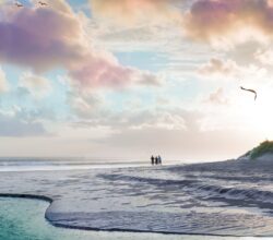 Pristine Beach Residences - Sobha Siniya Island Brochure.pdf-image-022